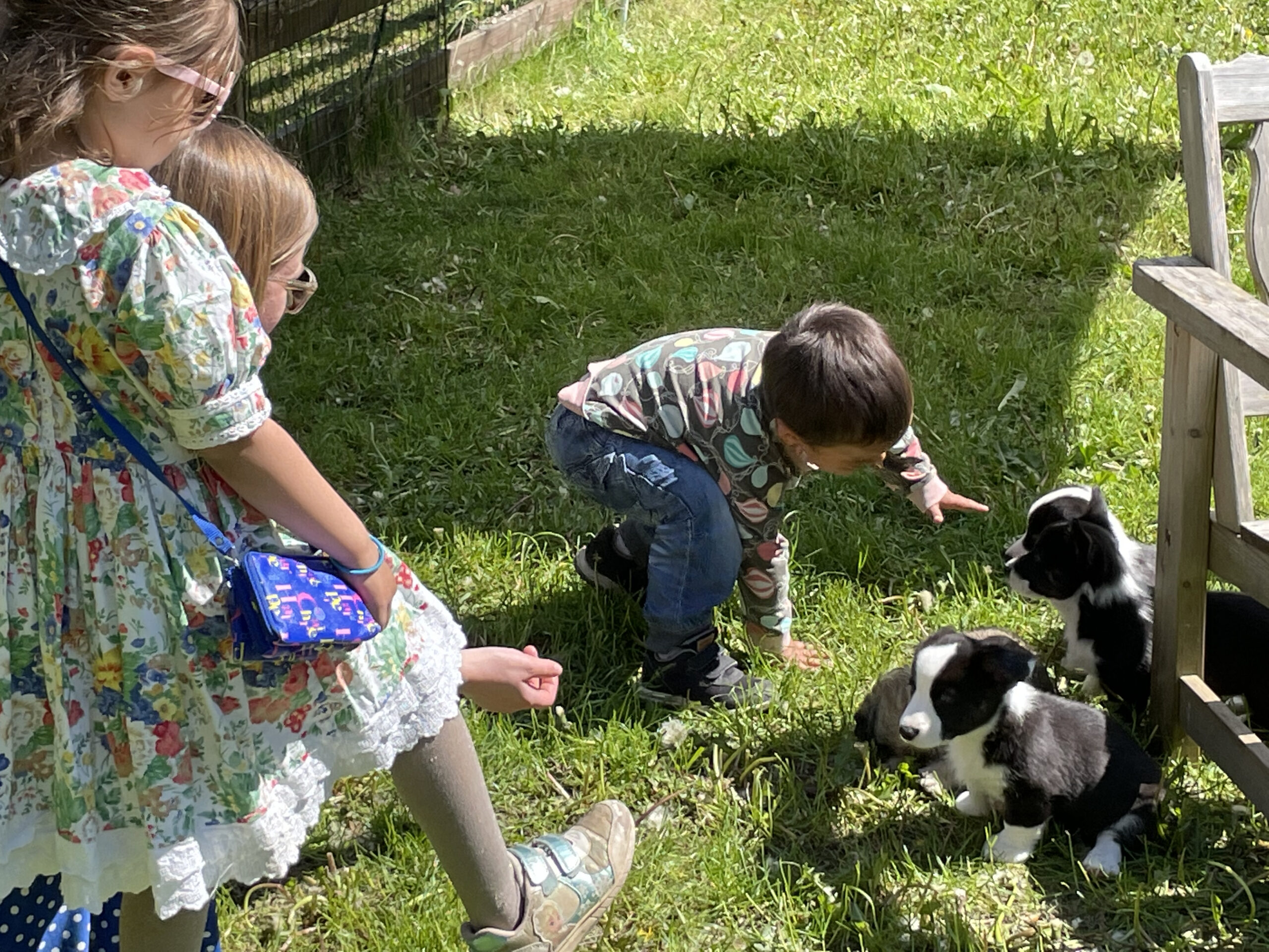 Grannens hund skäller